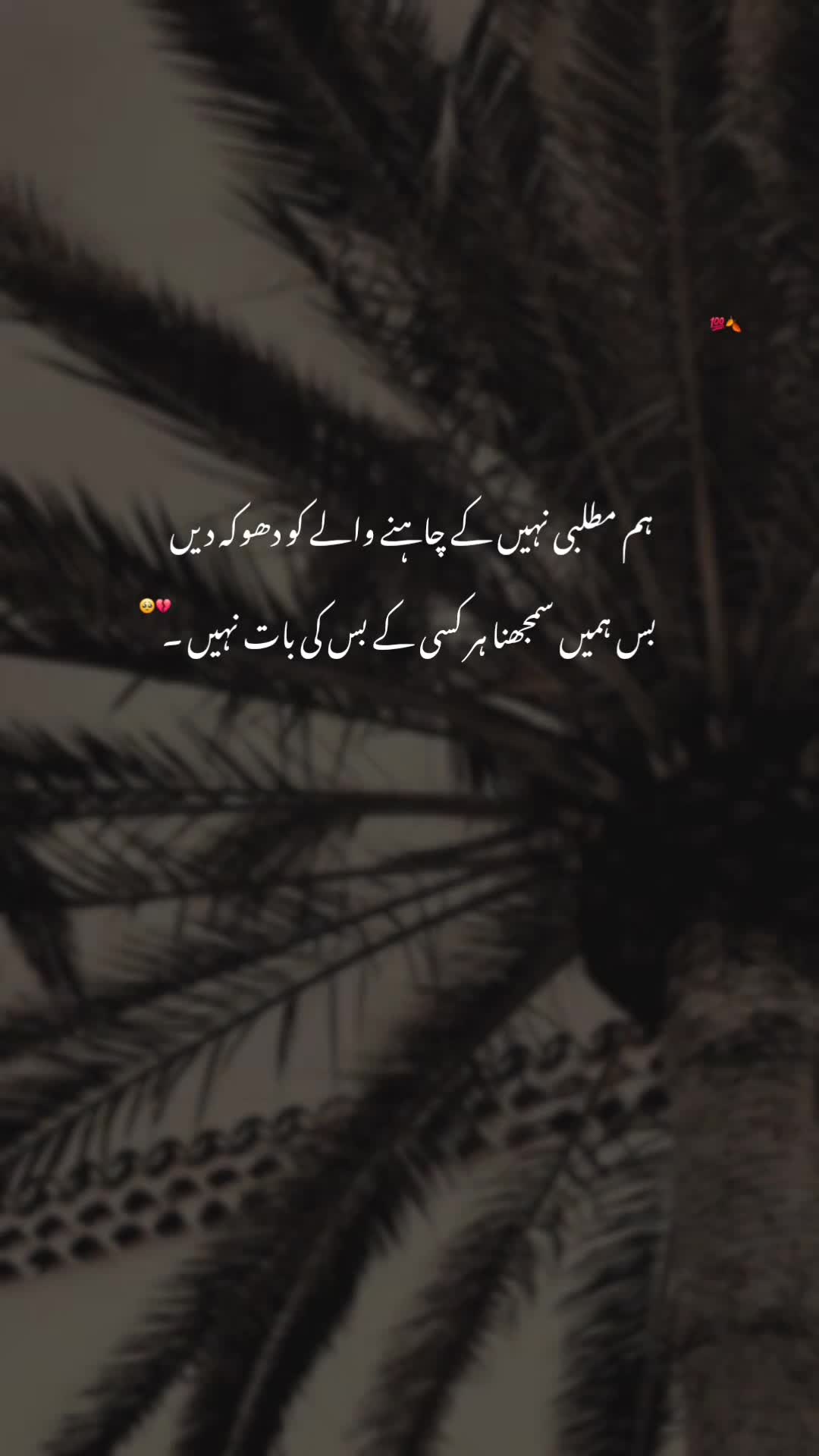 @𝘼𝙮𝙖𝙣♠