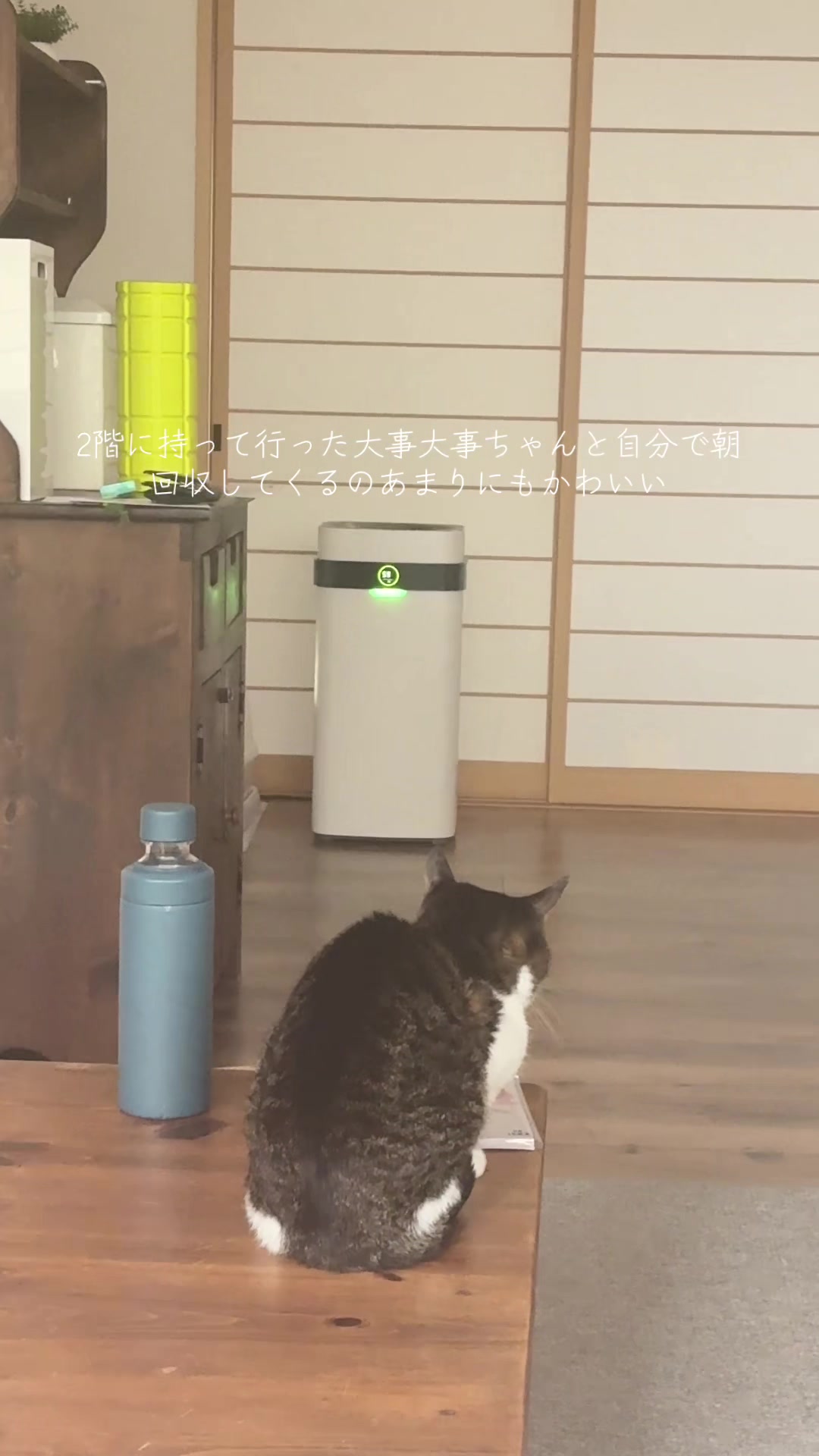 @さまむ〜