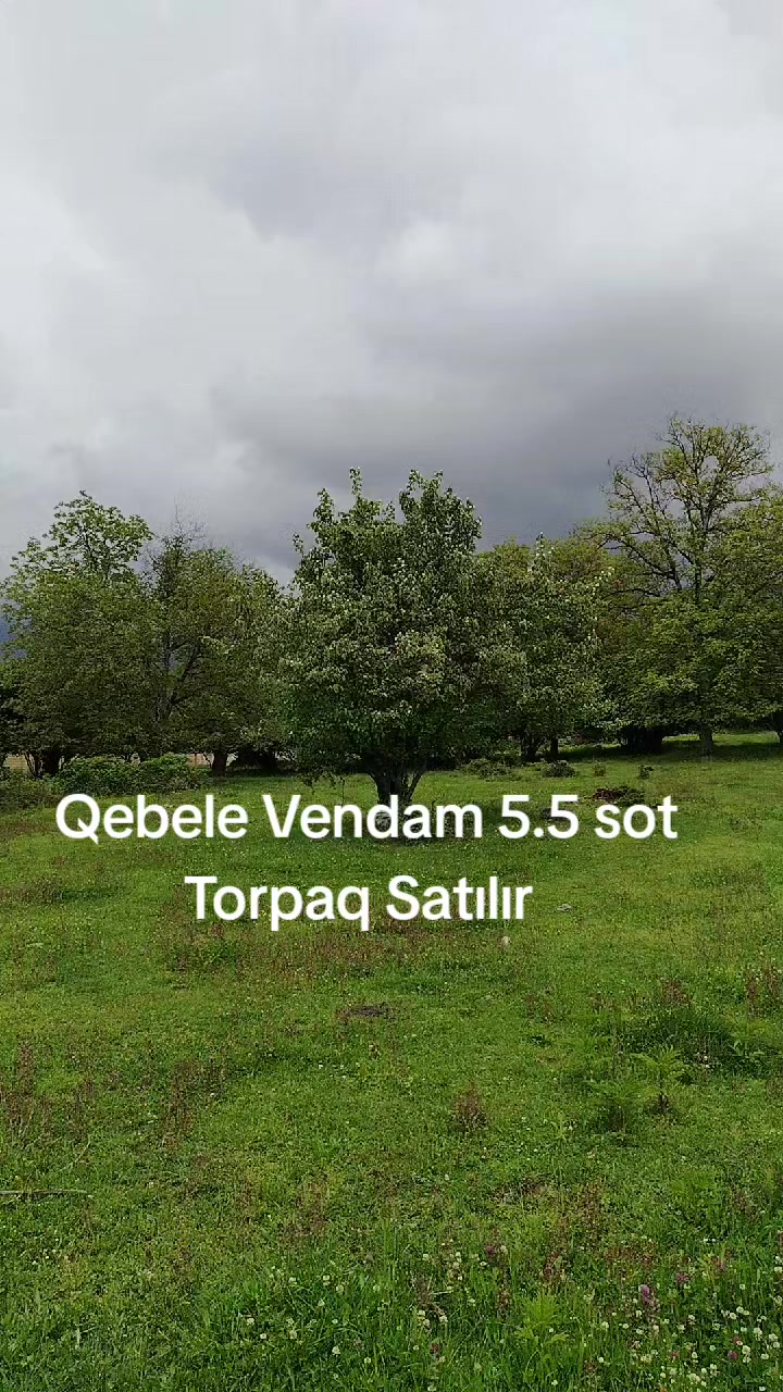 @Qebele Vendam.036