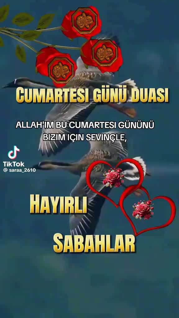 @hazineakcelep