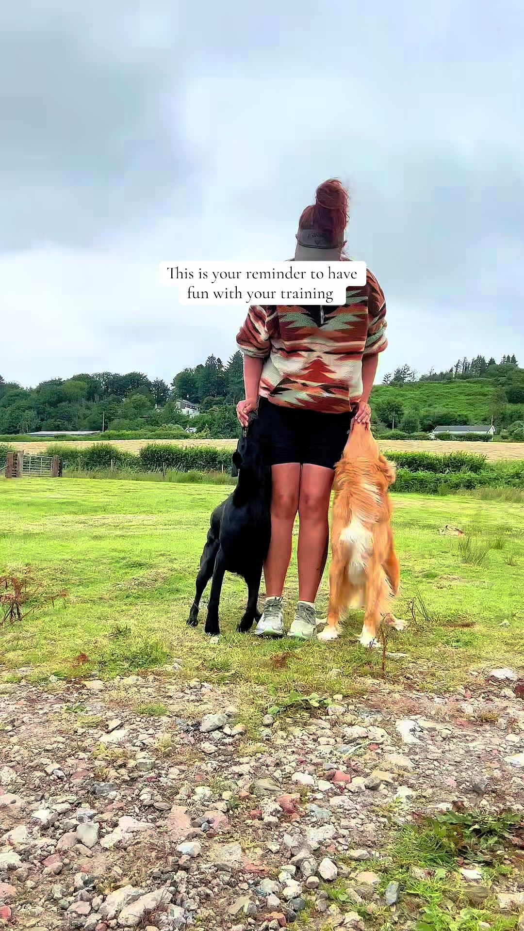 @Valleys Dog Training