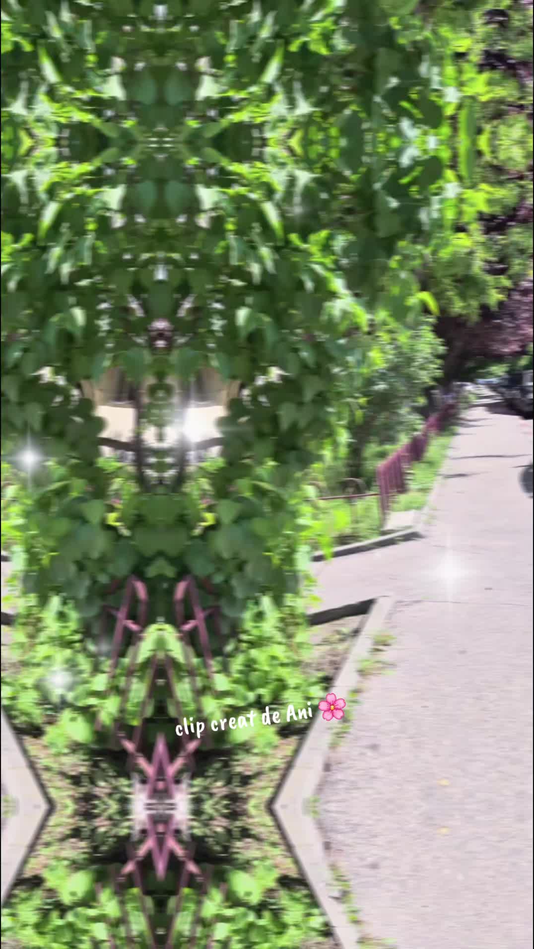 @♡5aNi♡7🌸