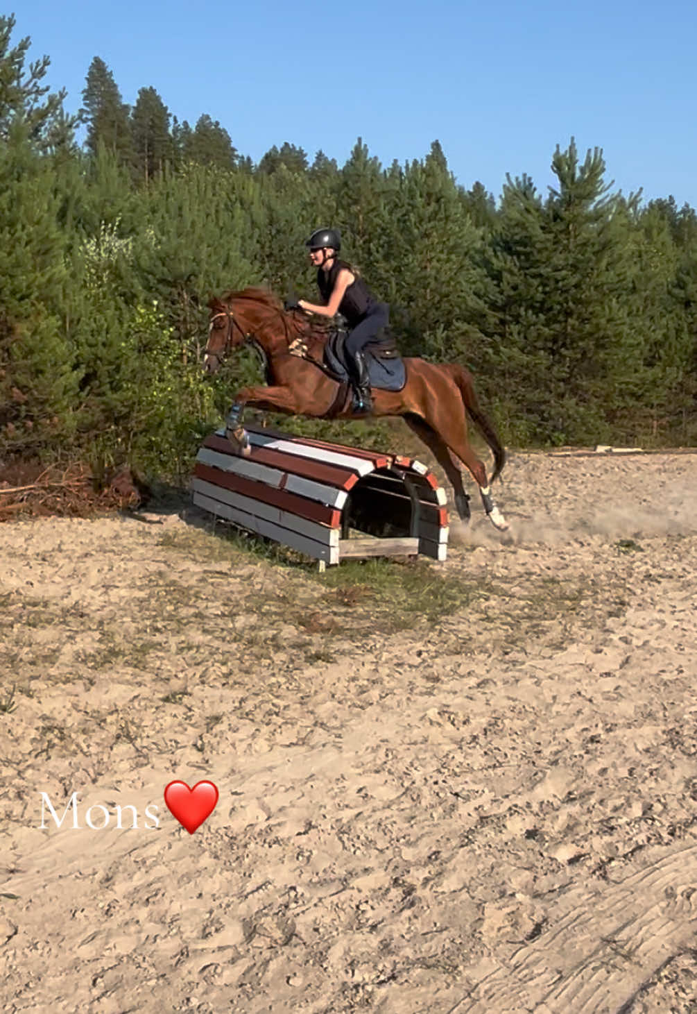 @Equestrian_tiiaa