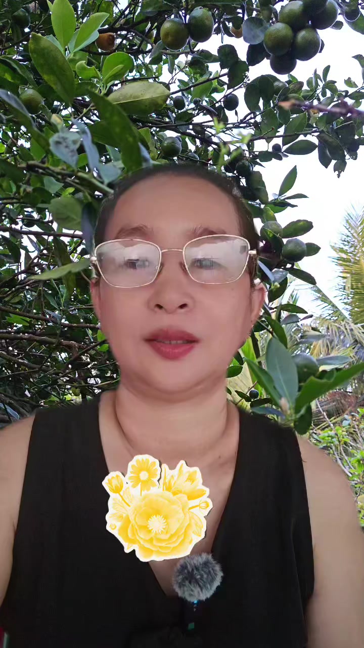 @dieuhanh