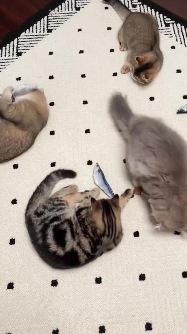 @fluffypet
