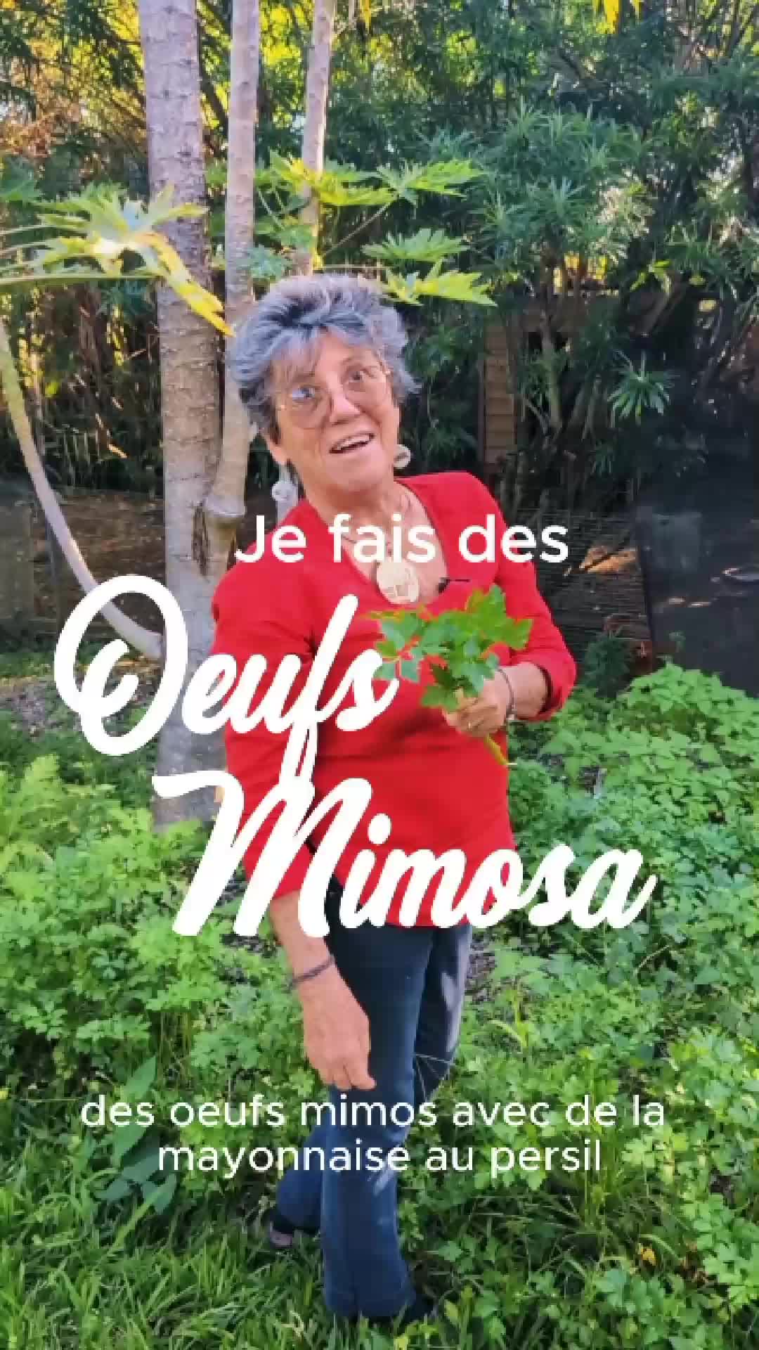@Le Jardin Maniron 🌺🌴🌱