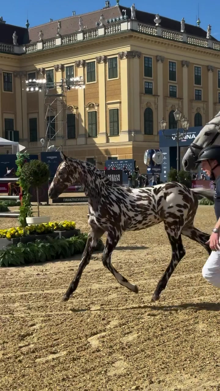 @Longines Global Champions Tour