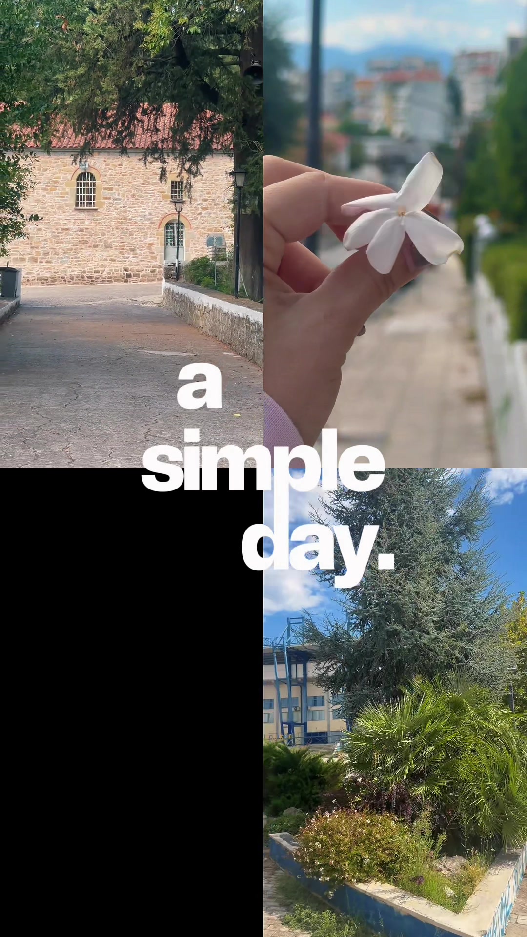 @Nikoleta Kass