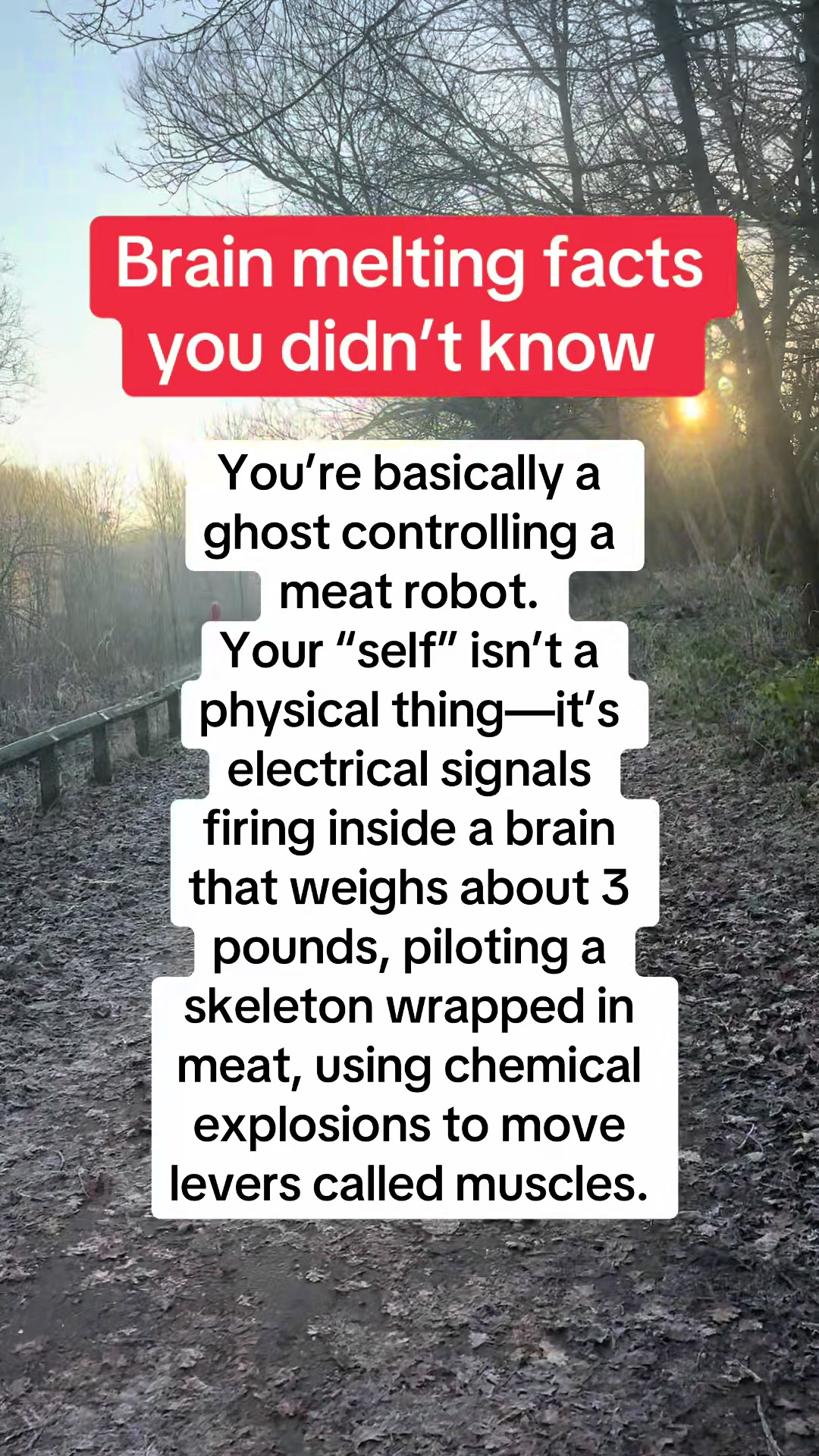 @Daily facts