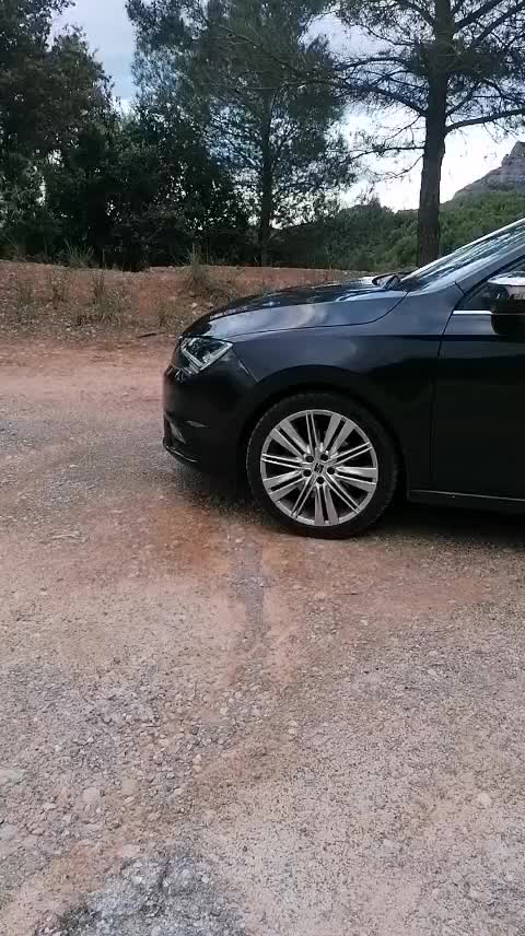 @sargentosentencia