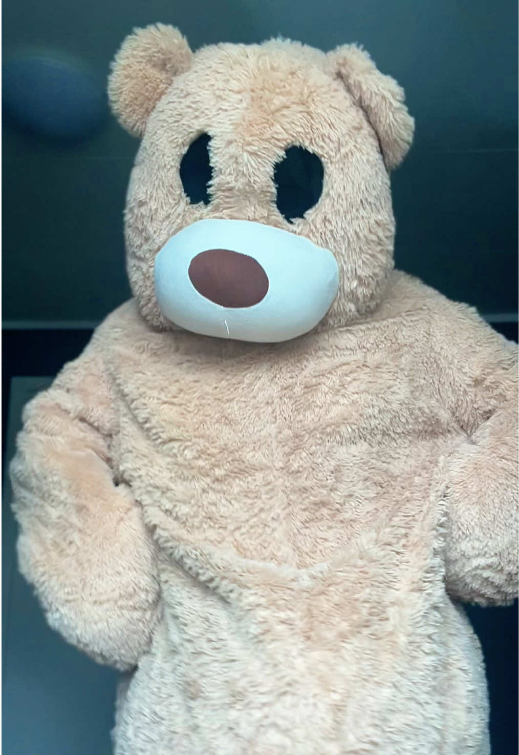 @teddytok