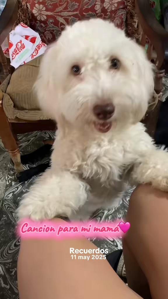 @Patric