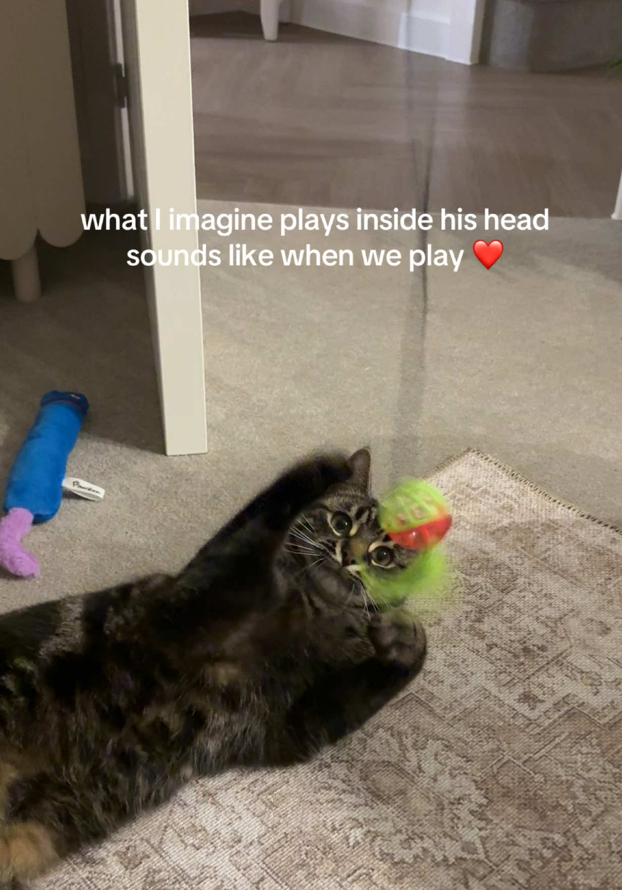 @Simba & Max 🐾