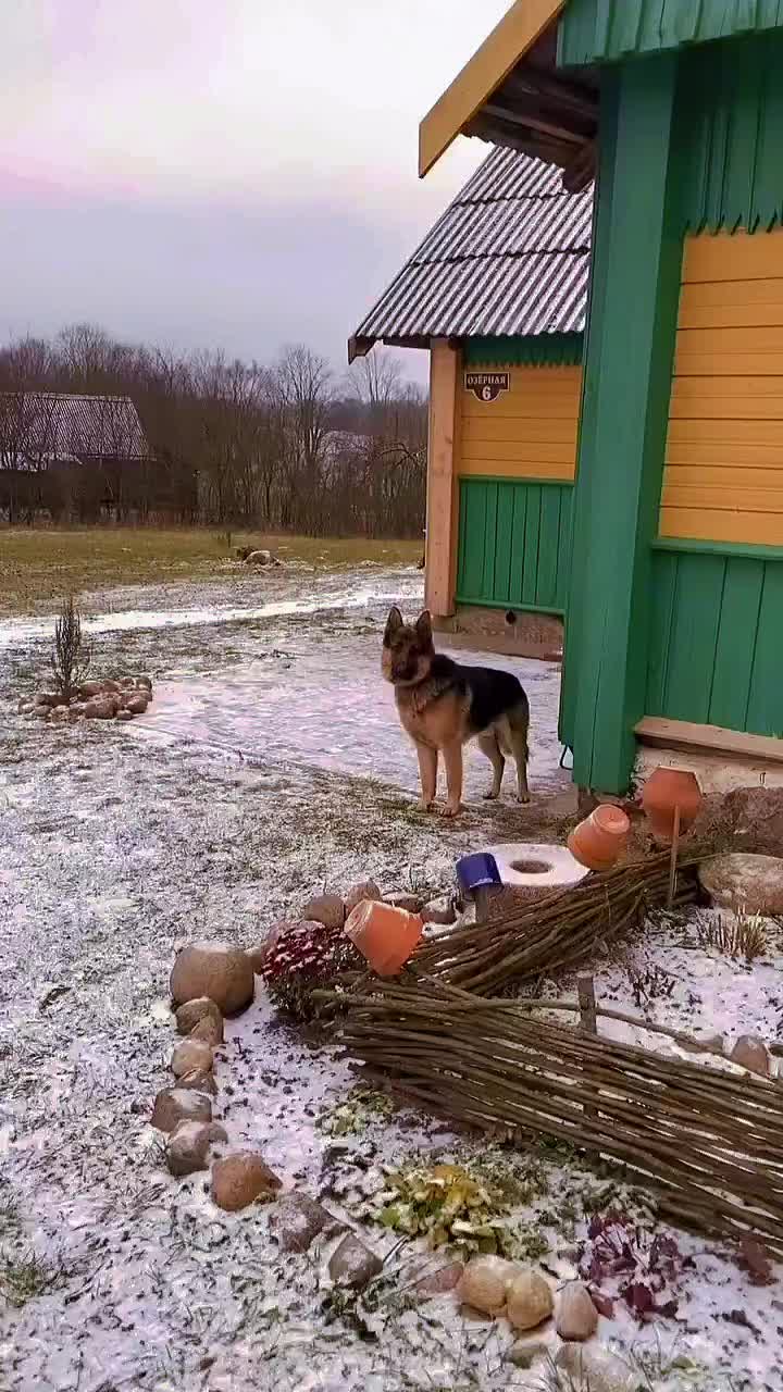 @Илончик