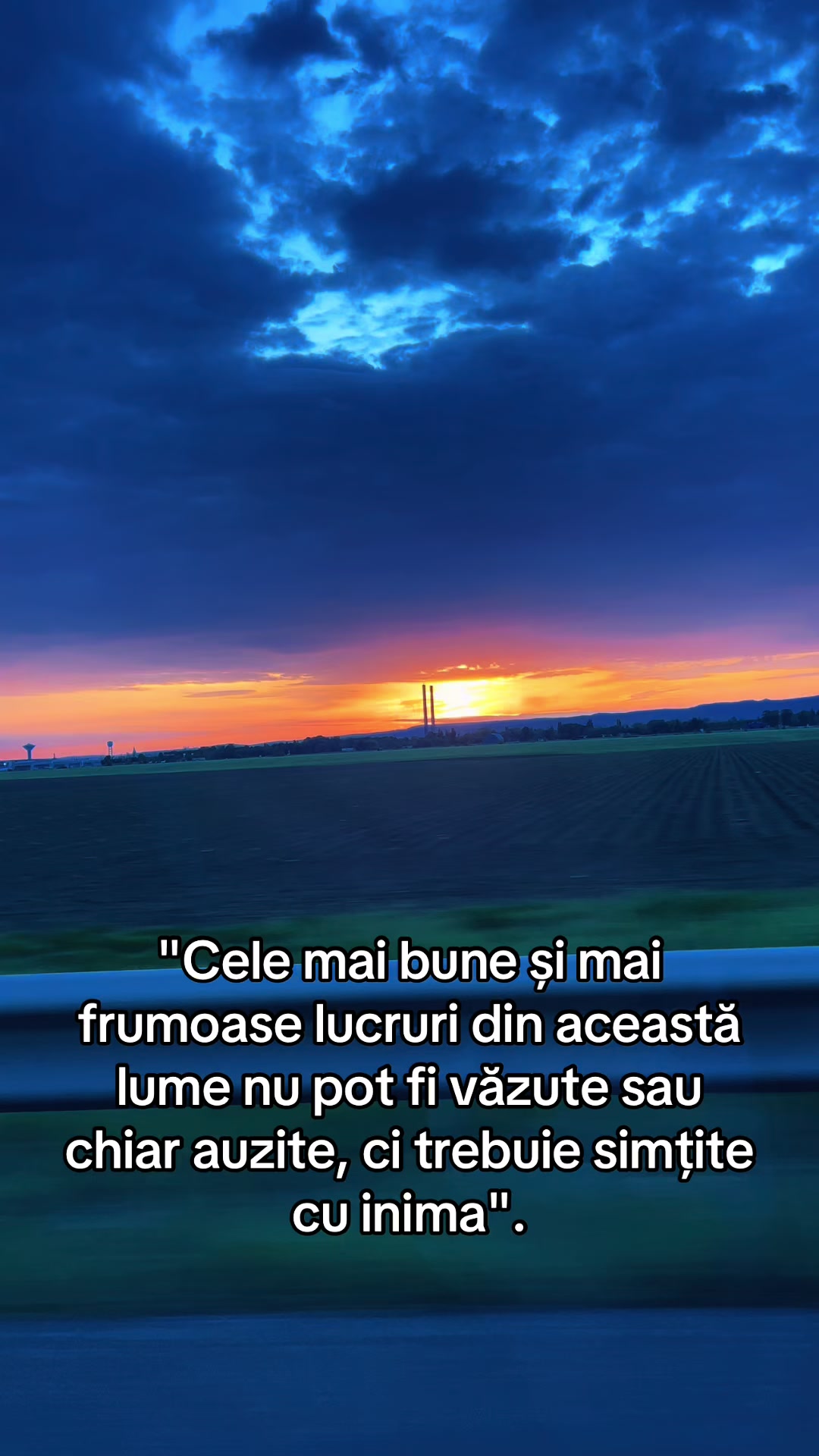 @Bruneta.