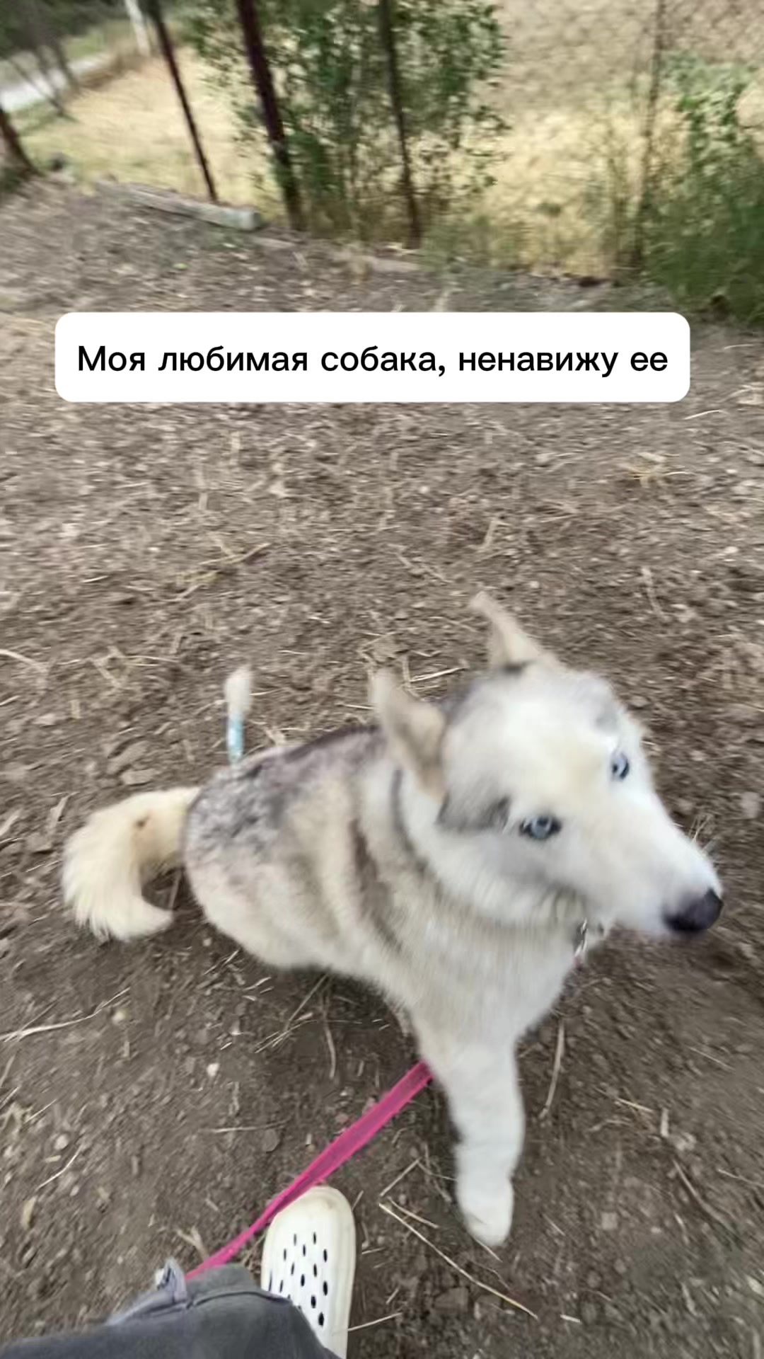 @У меня бошка из кортошки☺️