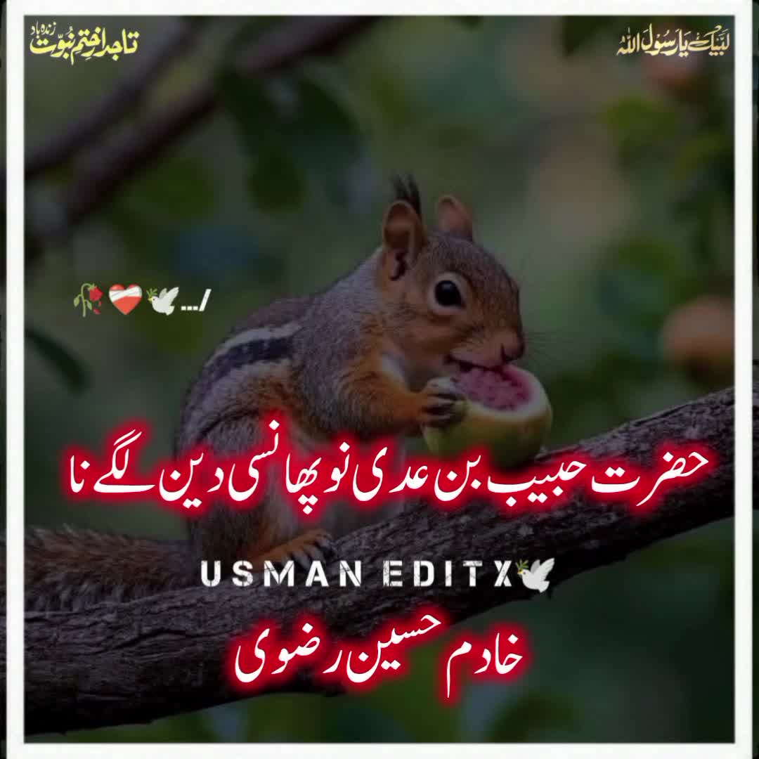 @سلطنت رضویہ 😍😍