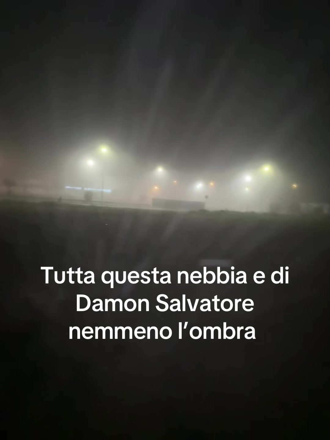 @Gabriela Mastrangelo