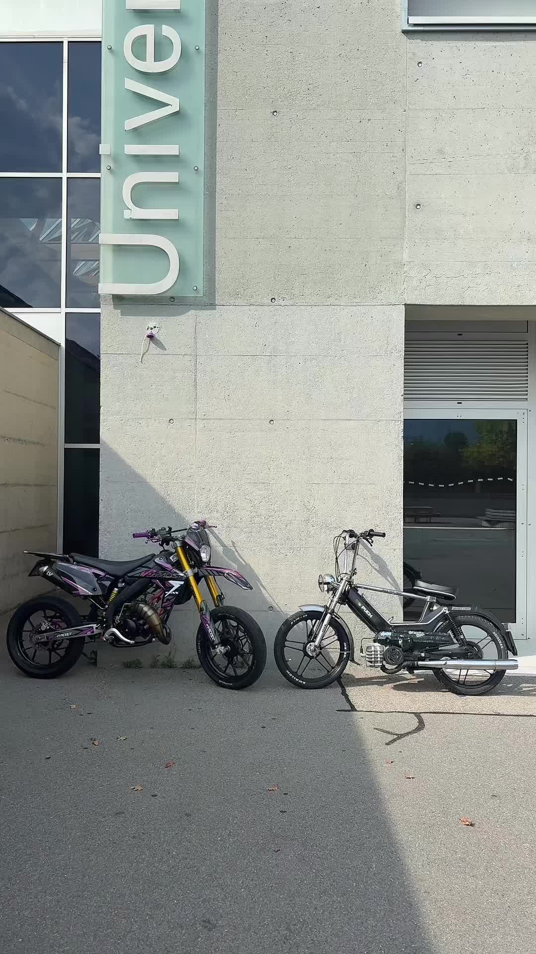 @Black_Puch_swiss