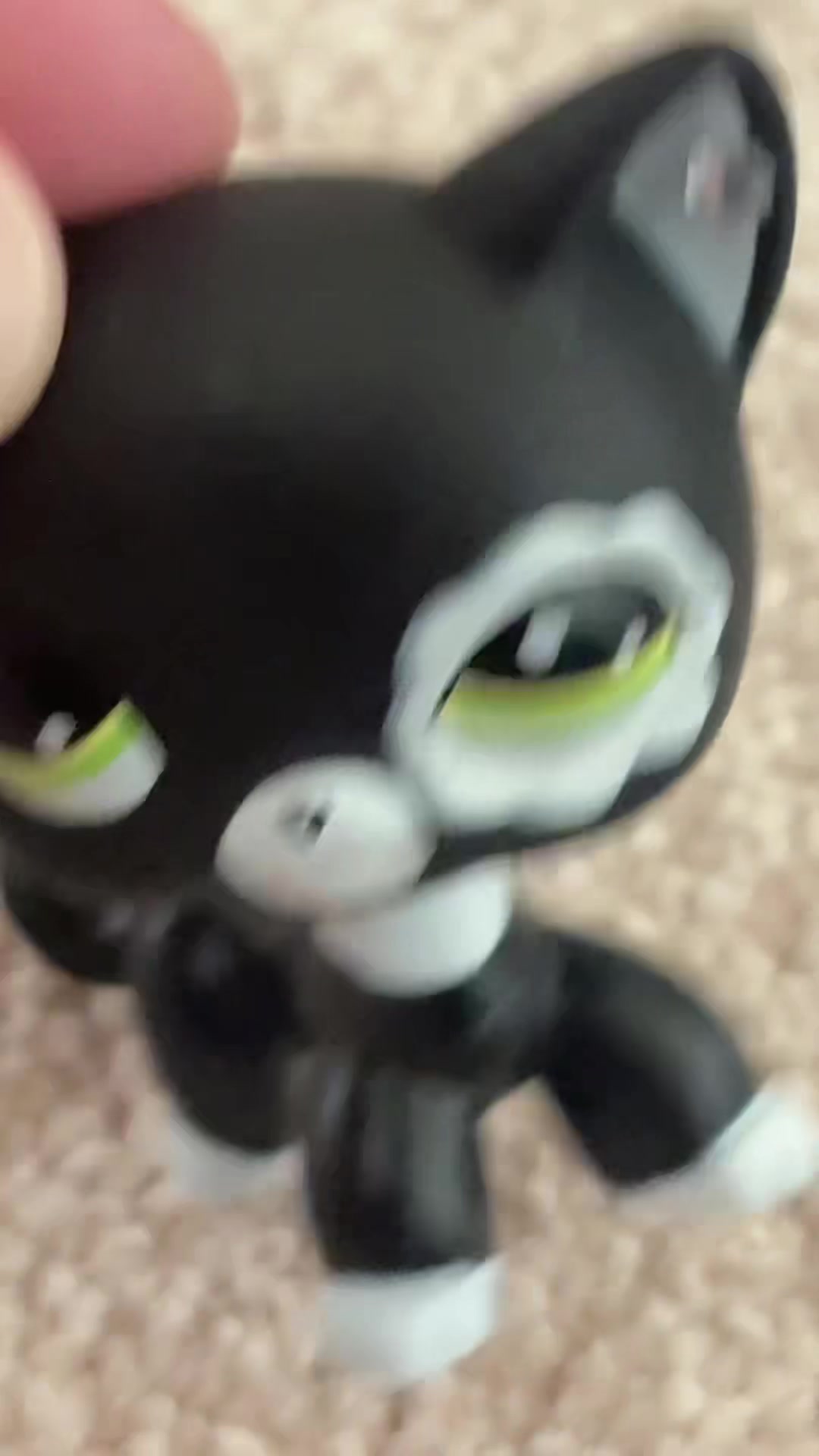 @โ๐โ๐๐ณโโ๐ต๐๐ด๐ชฝ๐ผ๐ชฝ