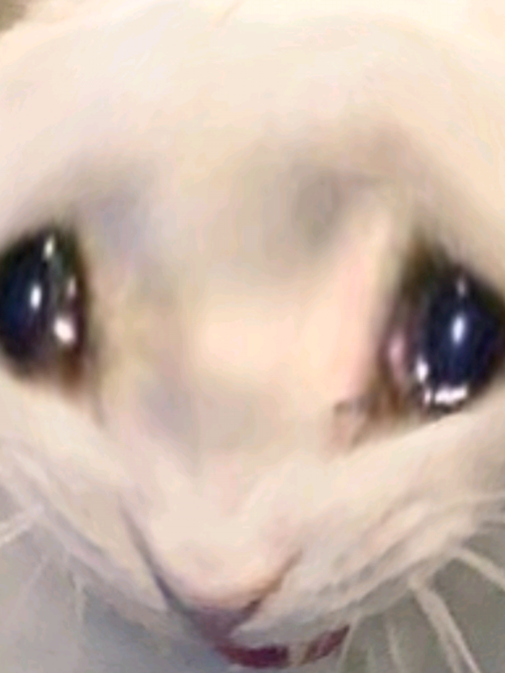 @𐔌ᛝ𝙏𝙒𝙄𝙎𝙏𝙀𝘿/𝘚𝘖𝘍𝘐𝘈𐂯