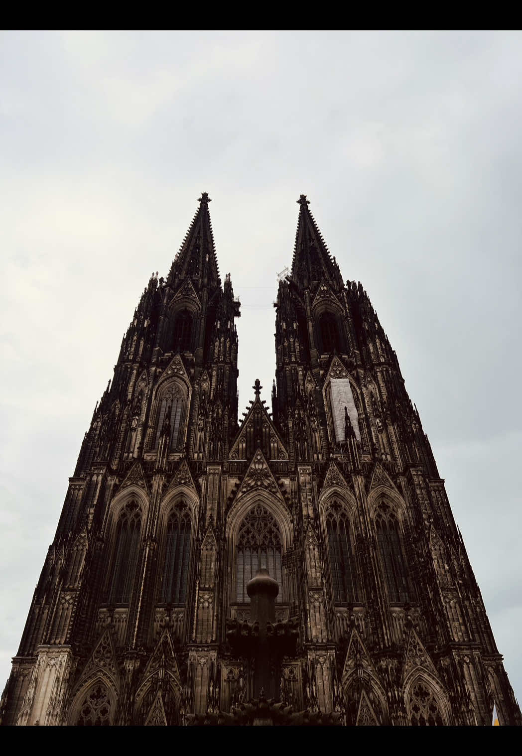 @em ⋆ ˚。⋆
