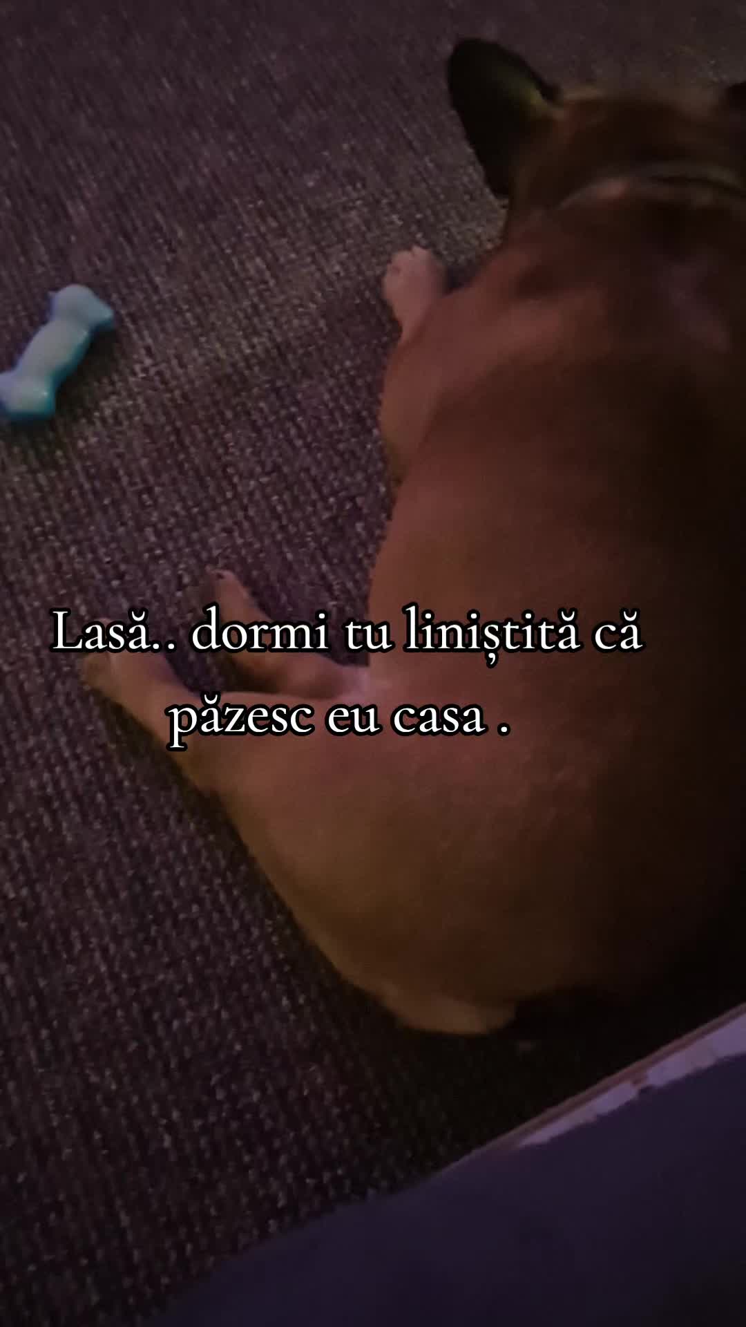 @∀u∀🧊