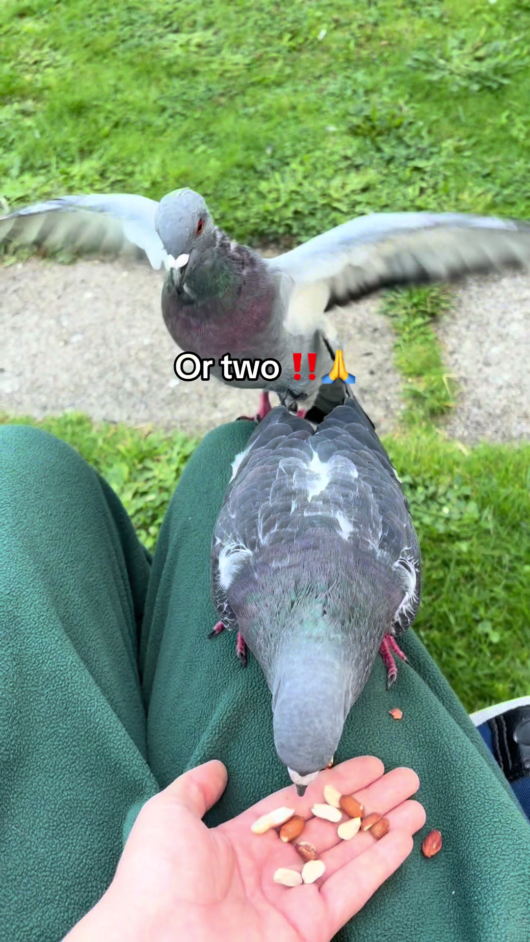 @💔