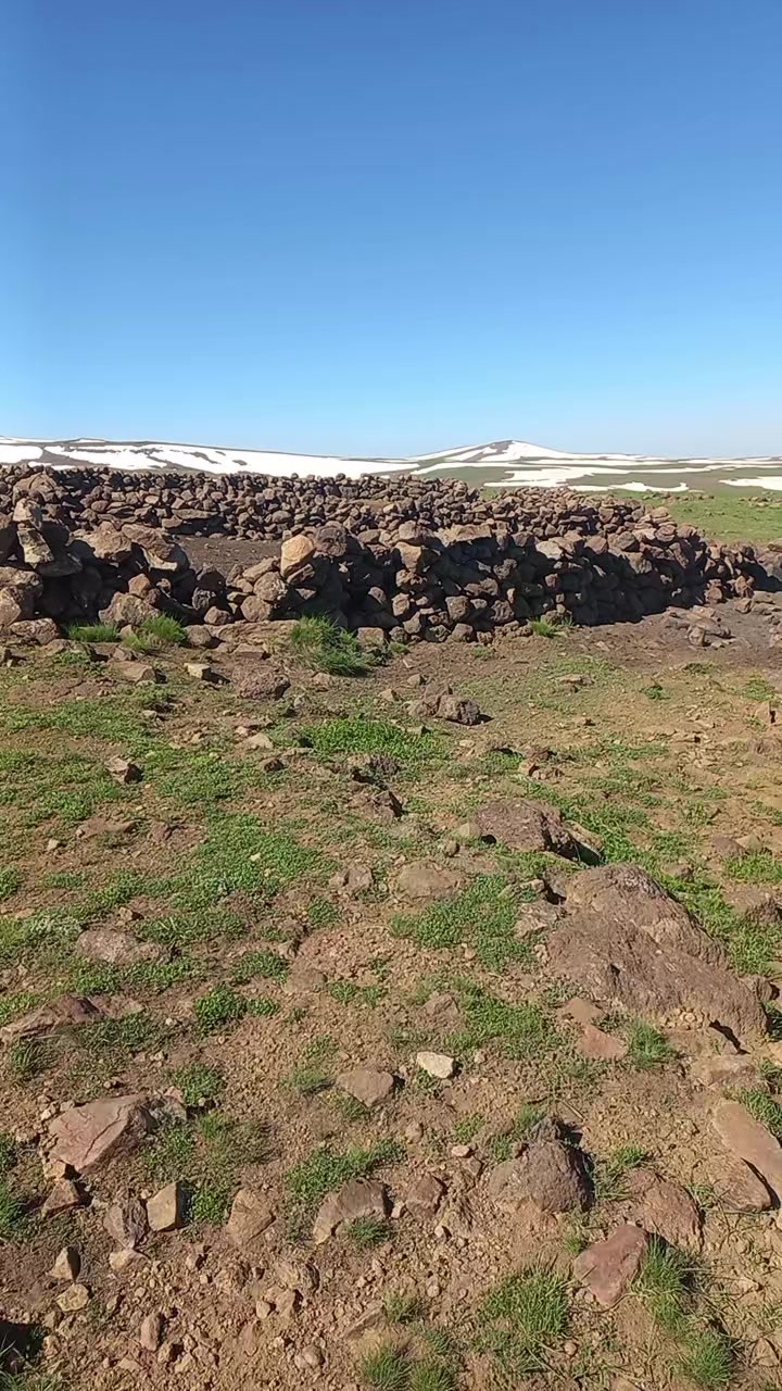@yılmaz mustafa şen