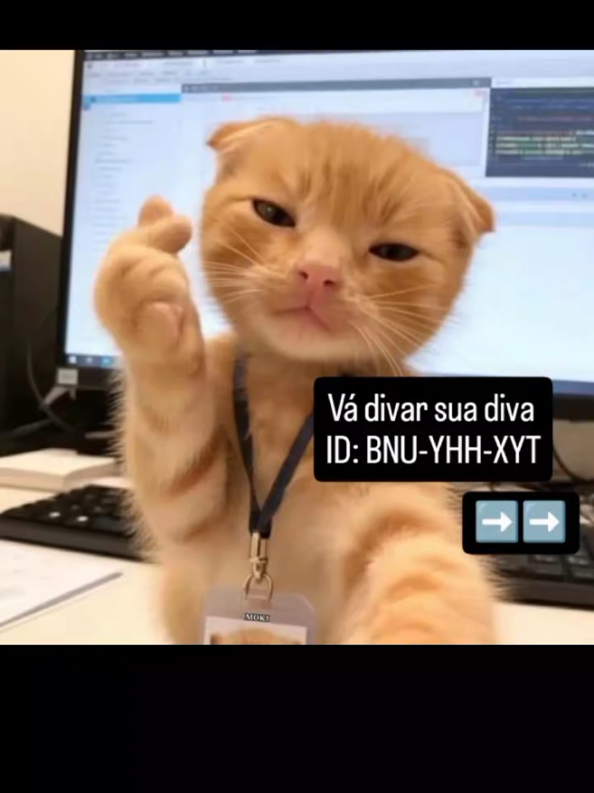 @BIBI
