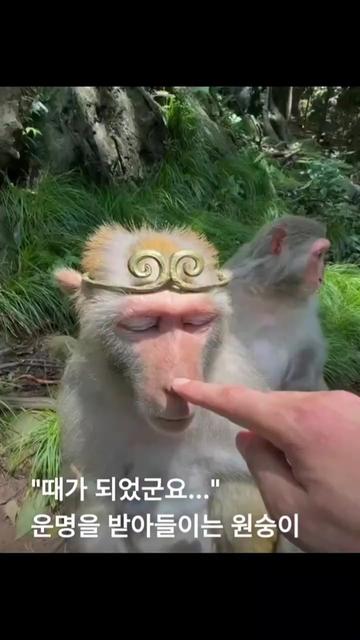 @✞︎✰{태봉}✞︎✰