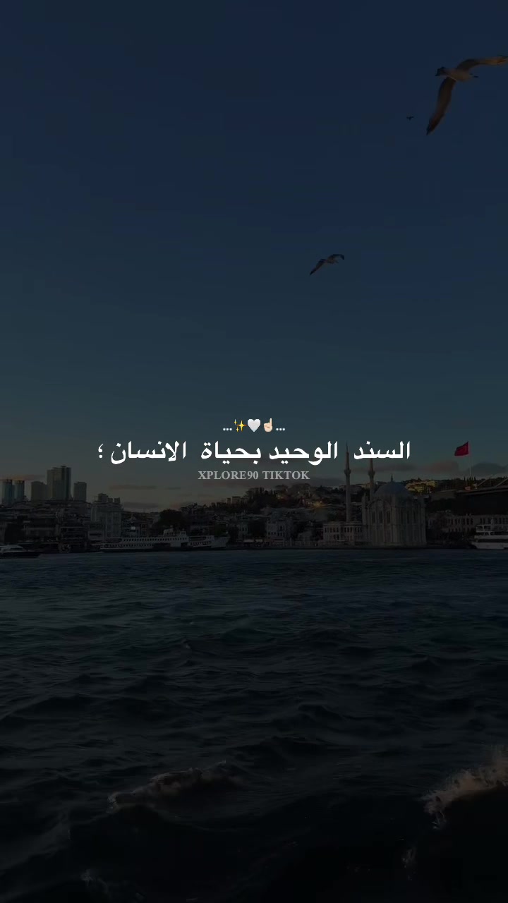 @explore