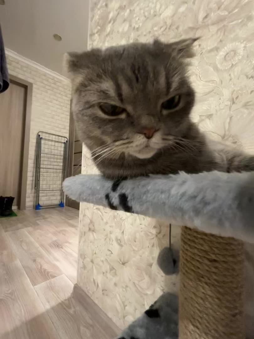 @Тгк в описании💘