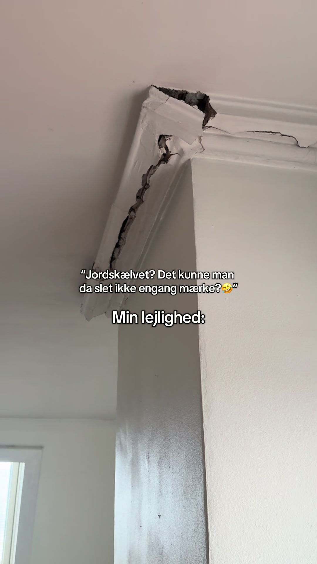 @Ida Augusta