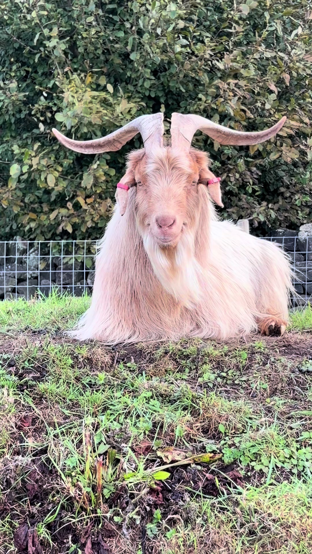 @Matlock Farm Park