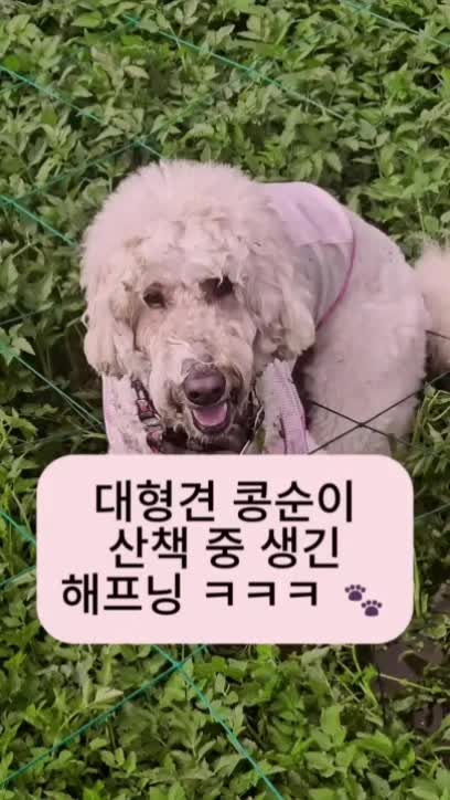 @백서현218