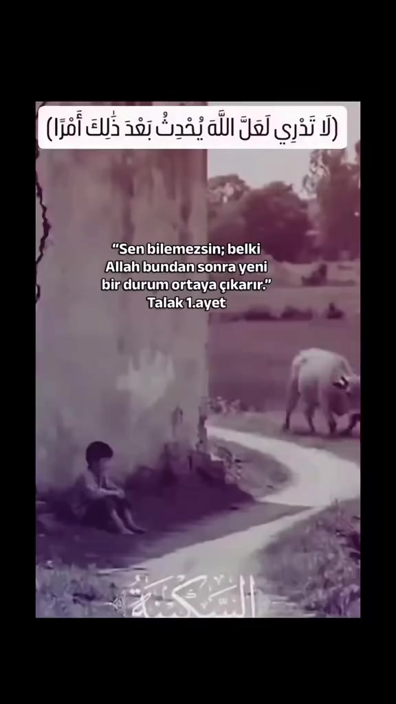 @G&ouml;cem