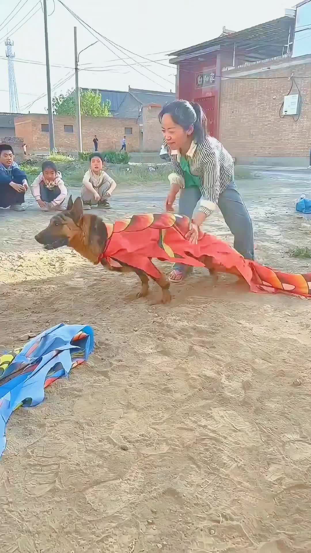 @love pets