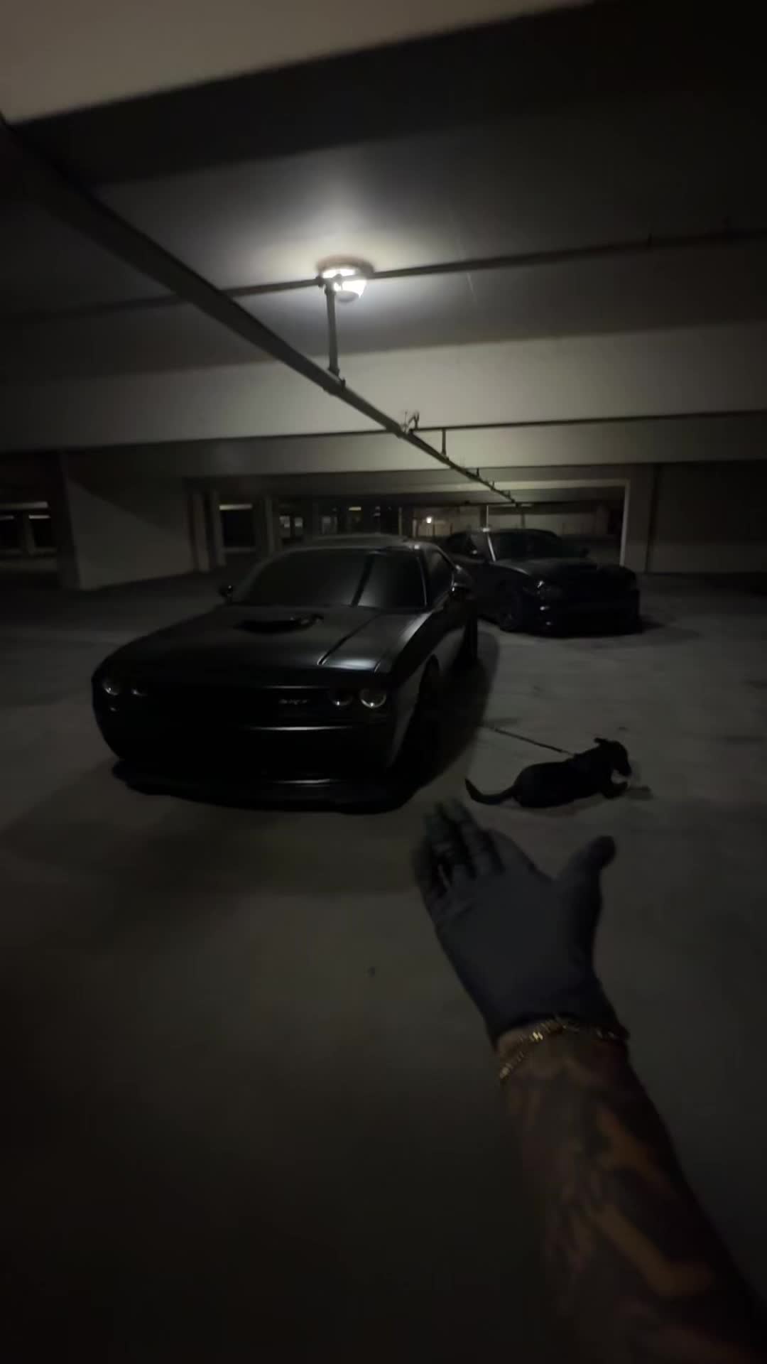 @Srtcam