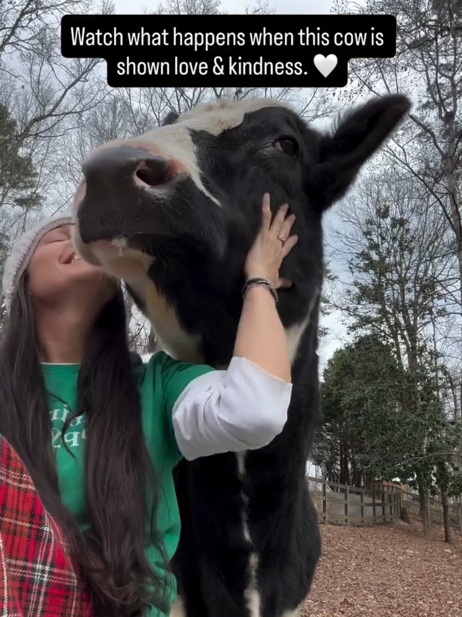 @Hidden Acres Animal Sanctuary