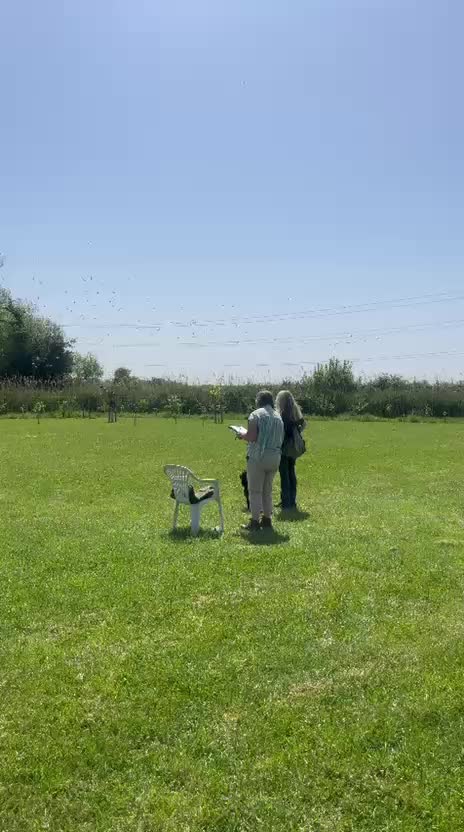 @Trails For Tails Dog Training