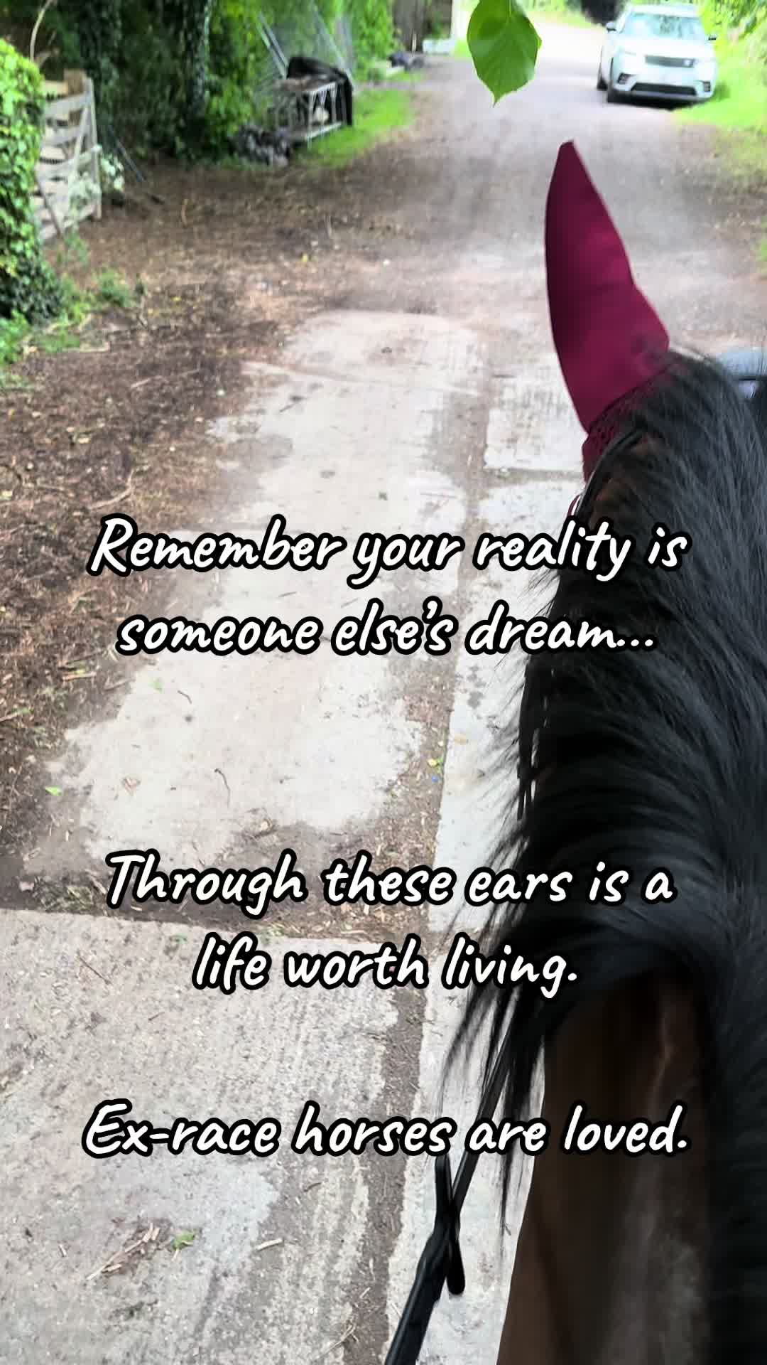@LifewithMrH