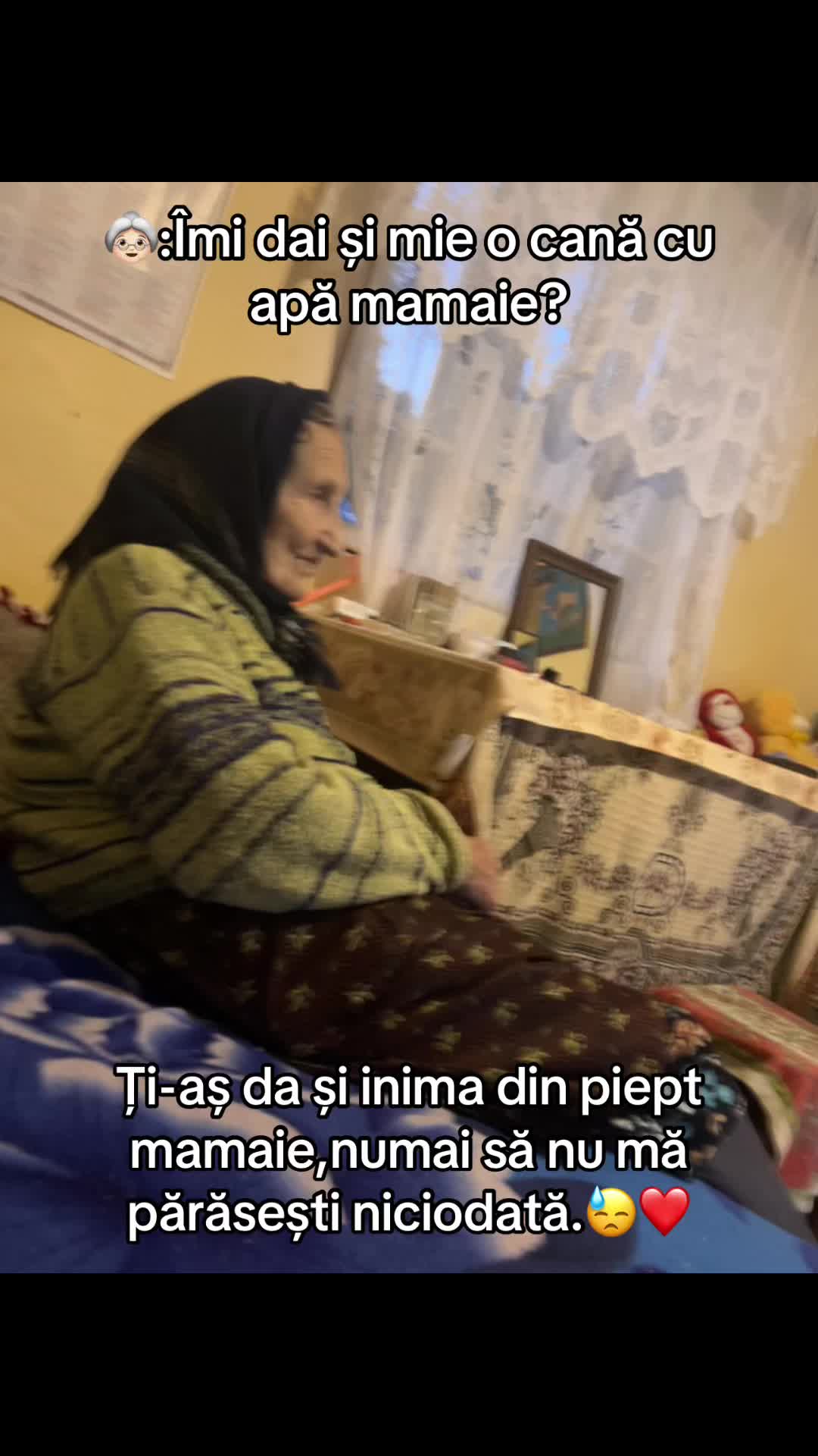 @stefii.scm