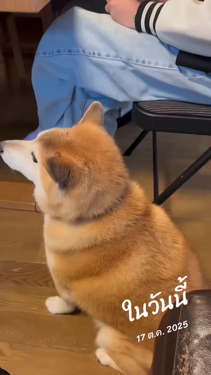 @RockyRk