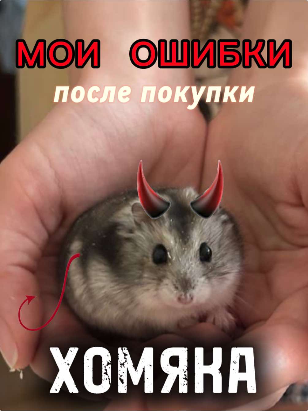 @хомяк Ричард 🐹