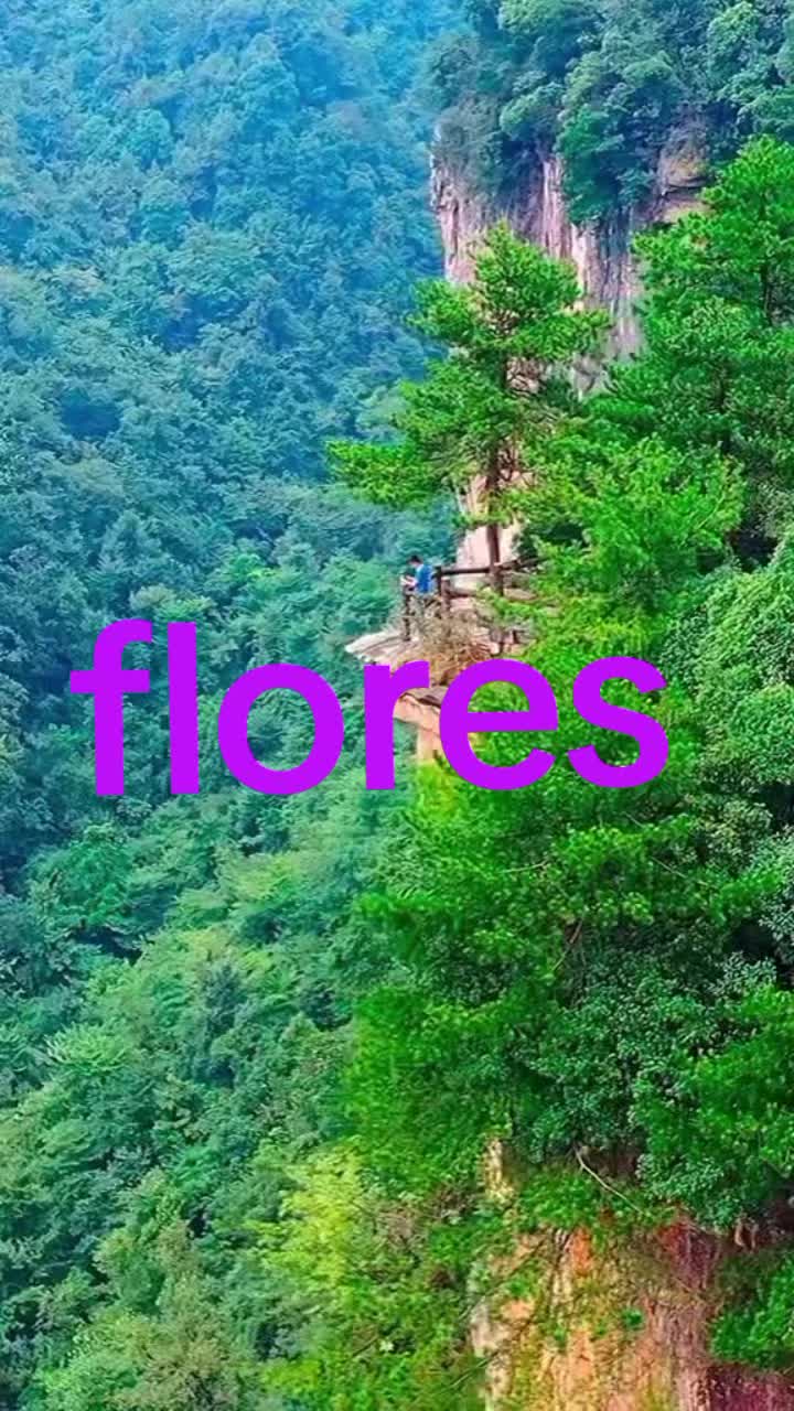 @FLORES FLORES