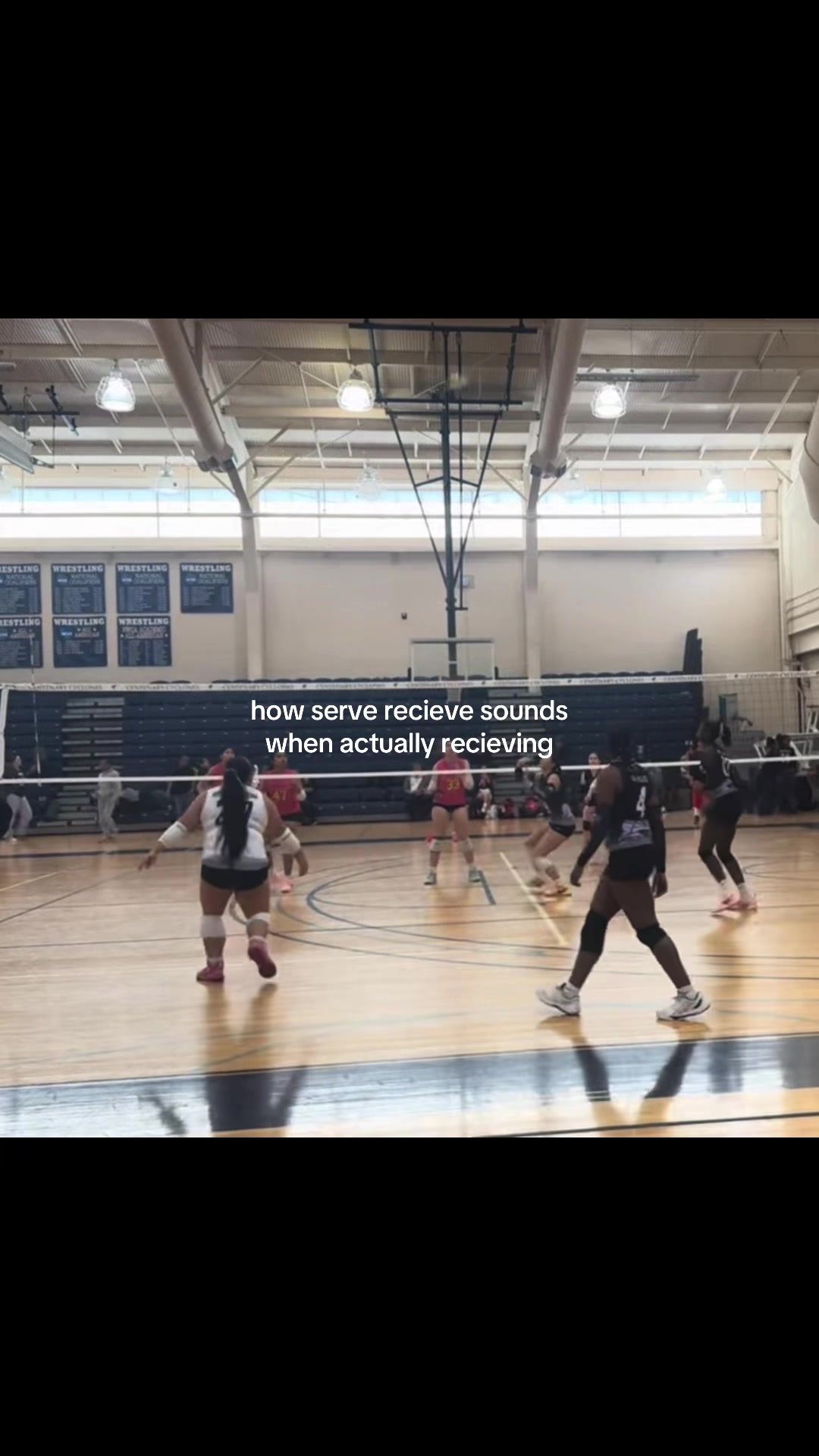 @kaitlyn 🏐