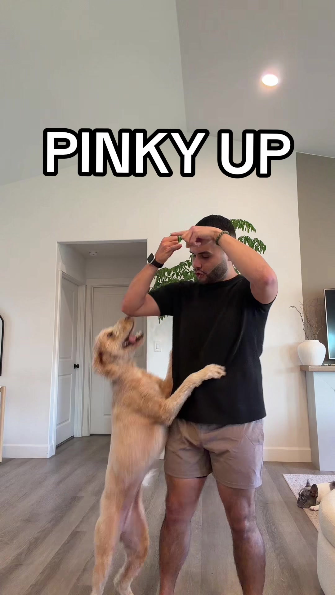 @josesit00000