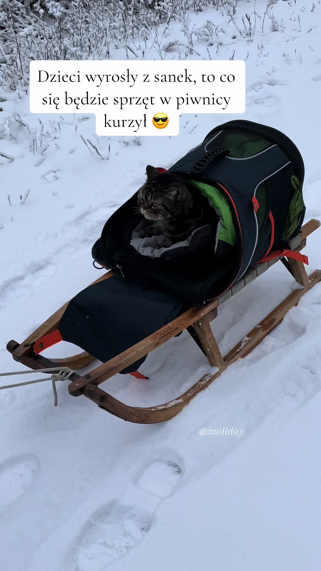 @Zooliday