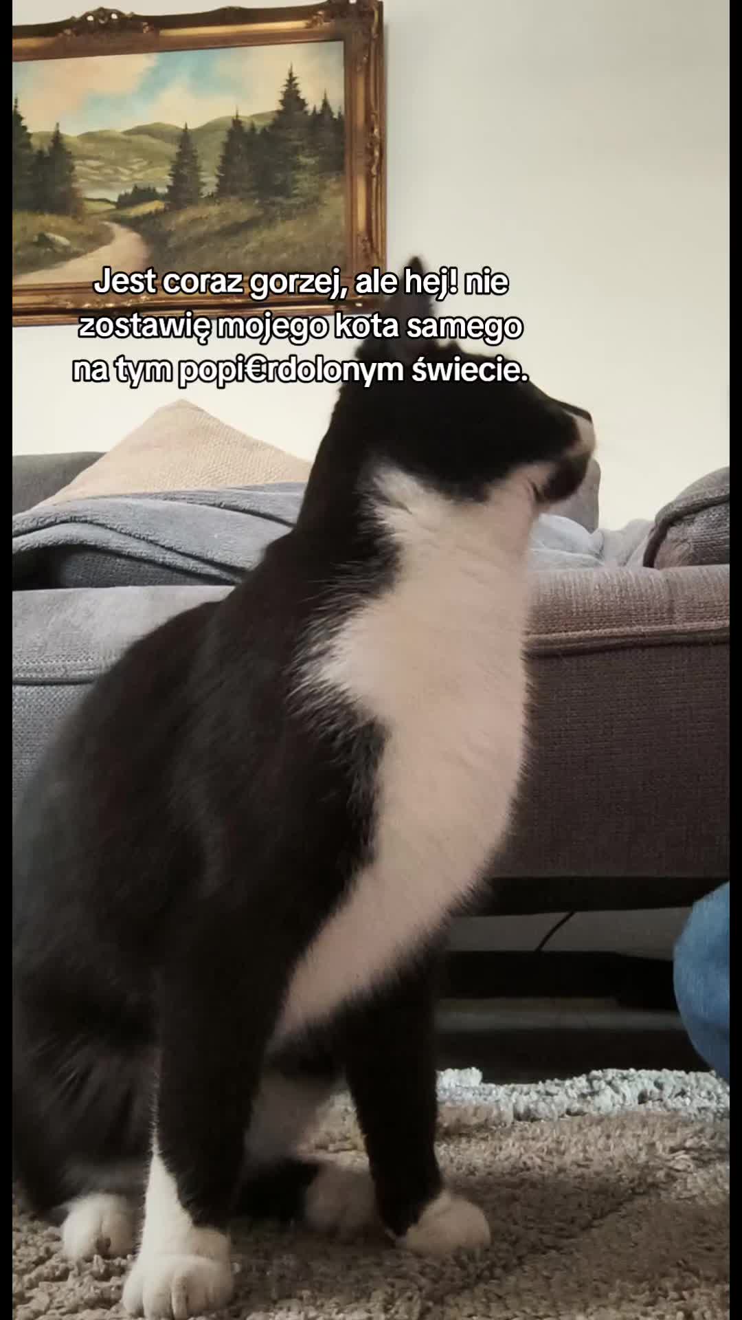 @🍓🐈&zwj;⬛𝐋𝐮𝐜𝐞𝐤/𝟏,𝟎𝐤🐈&zwj;⬛🍓